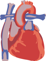 Fontan procedure