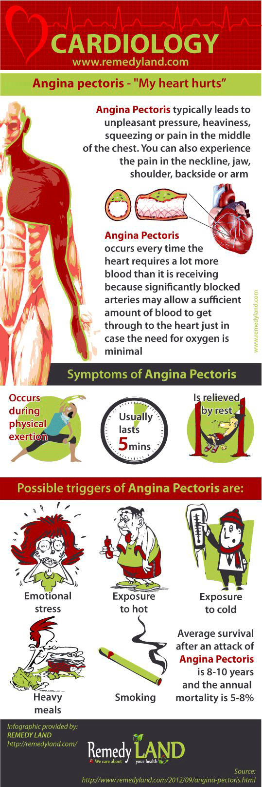 Angina pectoris typically leads to unpleasant pressure, heaviness, squeezing or pain in the middle of the chest. You can also experience the pain in the neckline, jaw, shoulder, backside or arm. Angina pectoris occurs every time the heart requires a lot more blood than it is receiving because significantly blocked arteries may allow a sufficient amount of blood to get through to the heart just in case the need for oxygen is minimal.