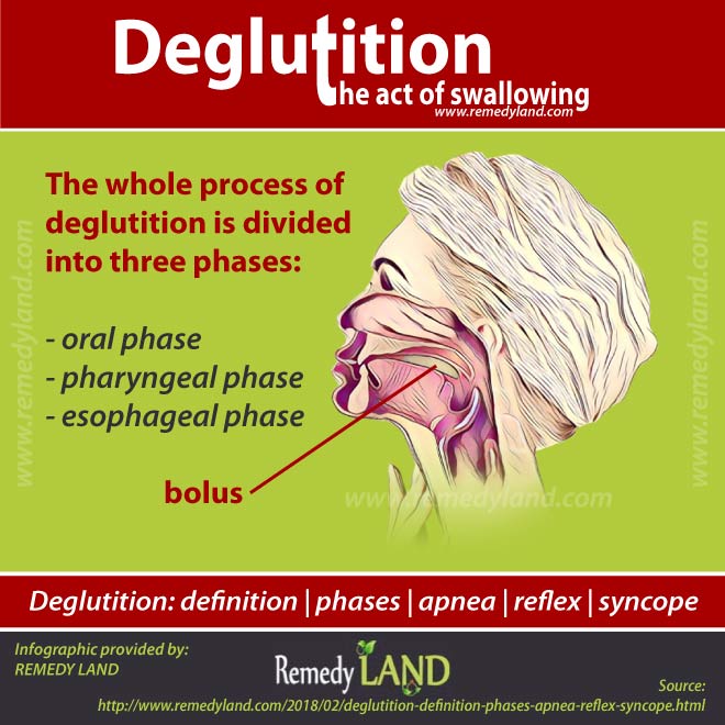 deglutition