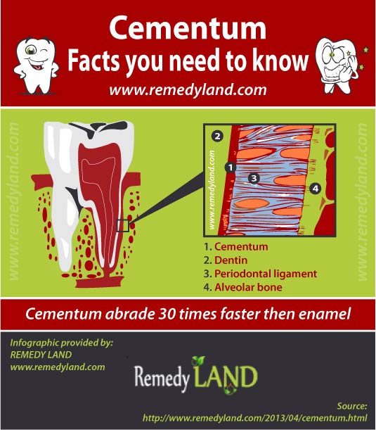 cementum