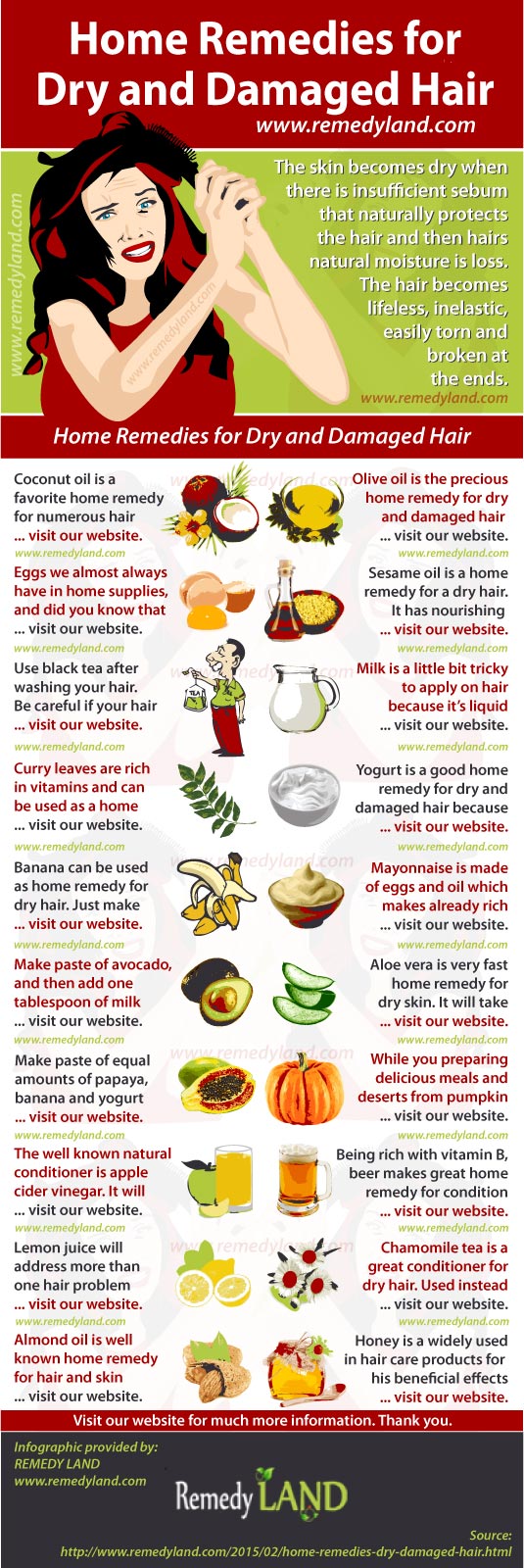 Home Remedies for Dry and Damaged Hair - Remedy Land