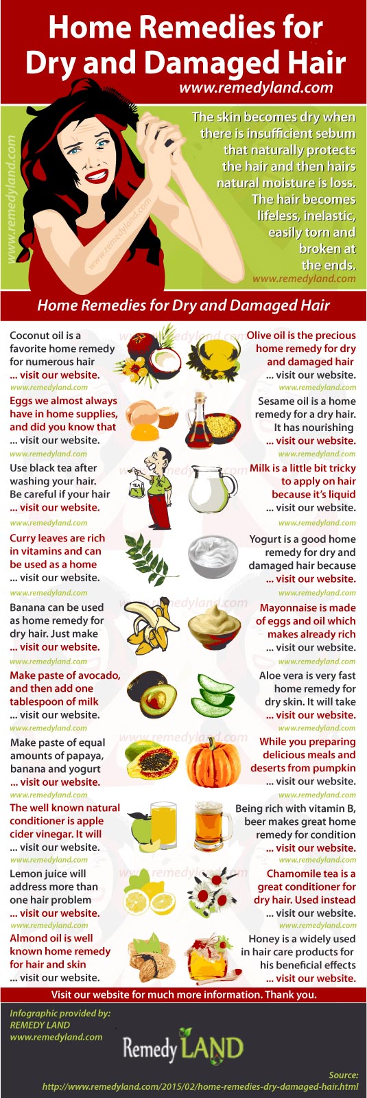 home remedies dry damaged hair